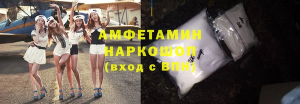 мет Алексин