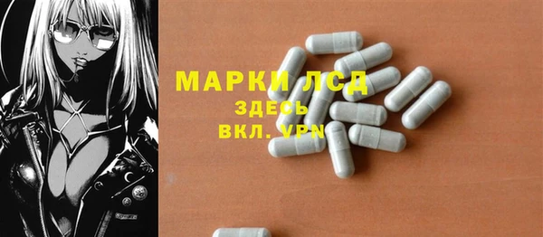 мет Алексин