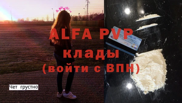 мет Алексин