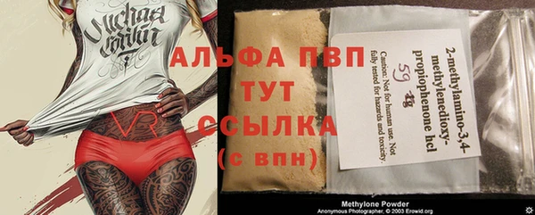 мет Алексин